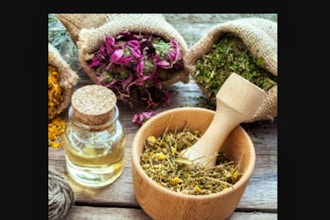 Herbs 101: Intro to Medicinal Herbs